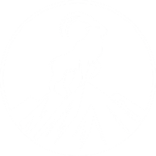 Chiltan Gifts